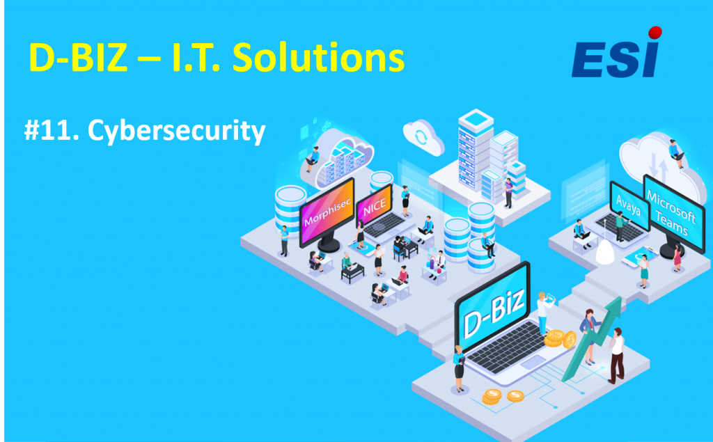 D-Biz | Cat. 11 -Cybersecurity Solutions