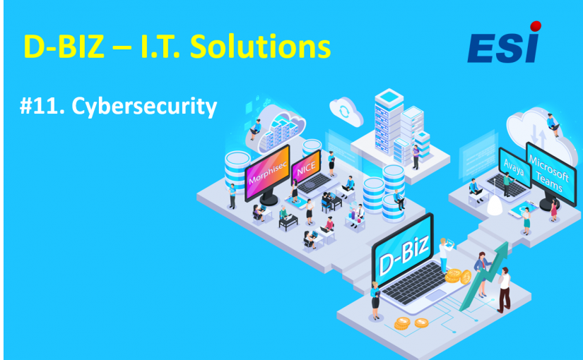 D-Biz | Cat. 11 -Cybersecurity Solutions