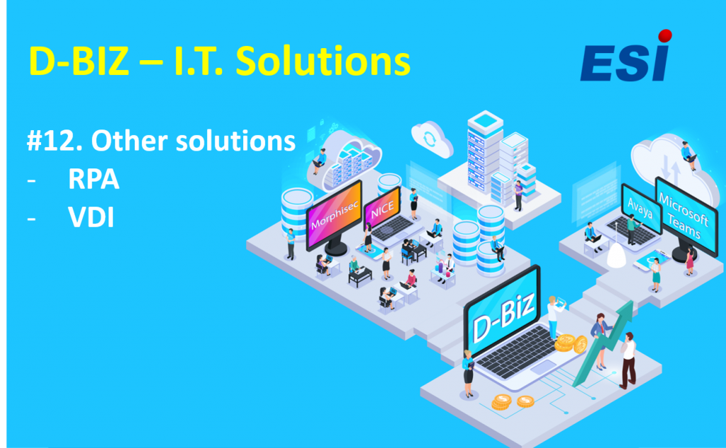 D-Biz | Cat. 12 - RPA and VDI Solutions