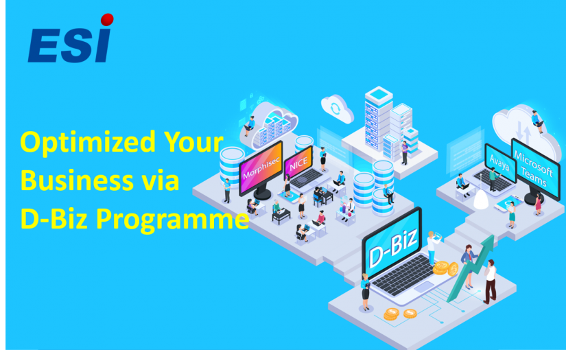 D-Biz Programme